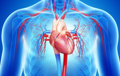 que-es-insuficiencia-cardiaca-597b5fa23df78cbb7a249cff
